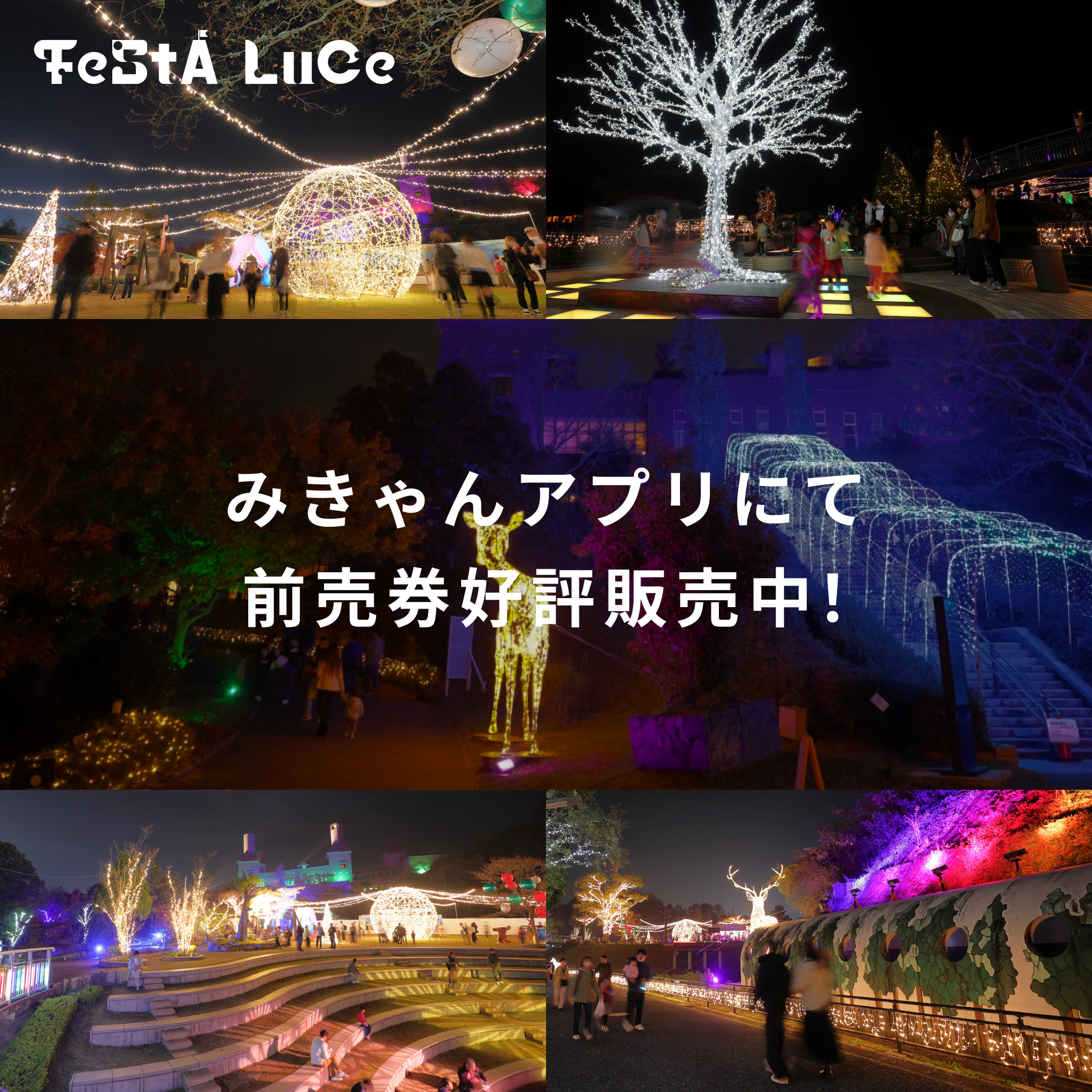 フェスタ・ルーチェinえひめこどもの城